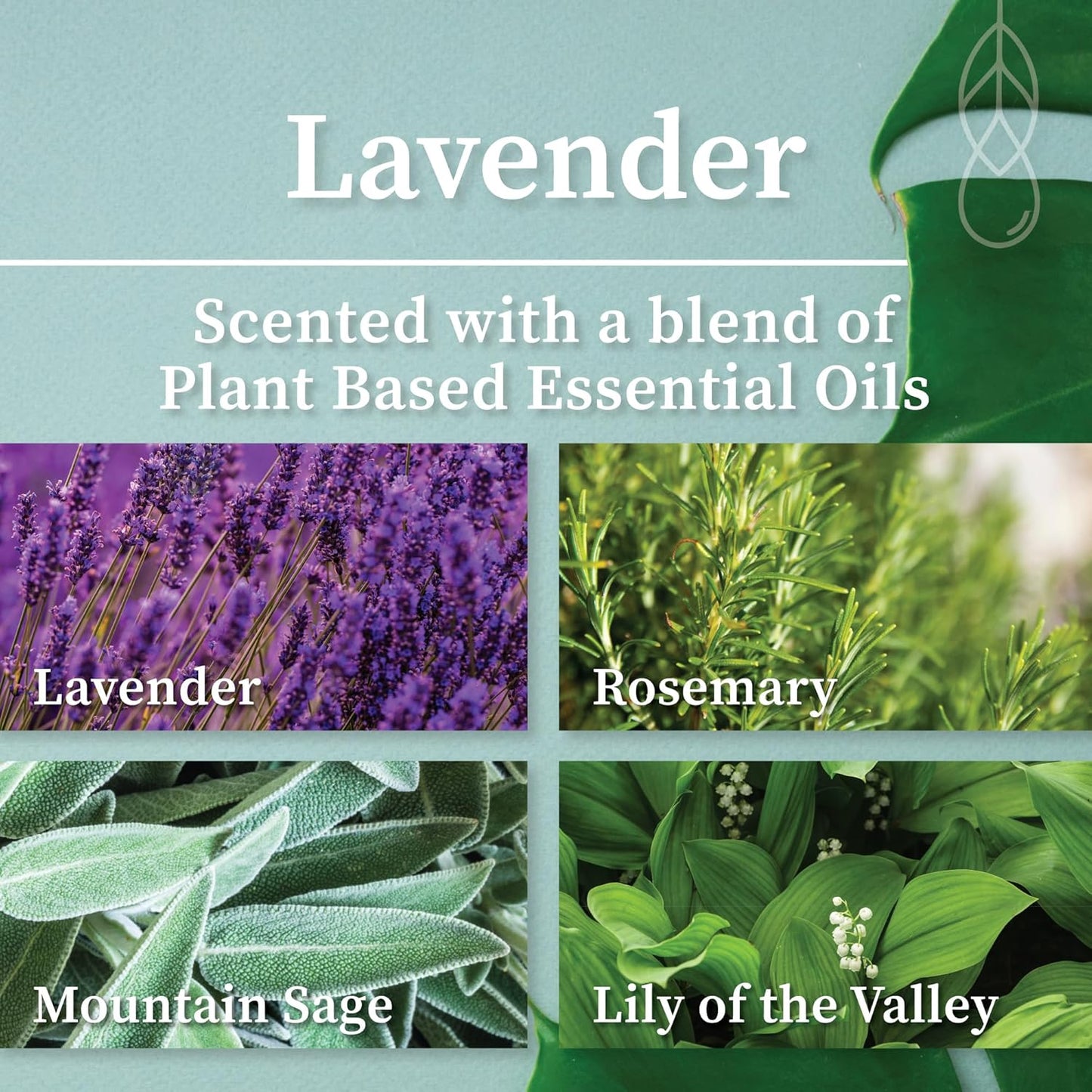 Hemlock Park Crackling Wood Wick Candle Handcrafted with Natural Coconut Wax (Standard 8 oz, Lavender)