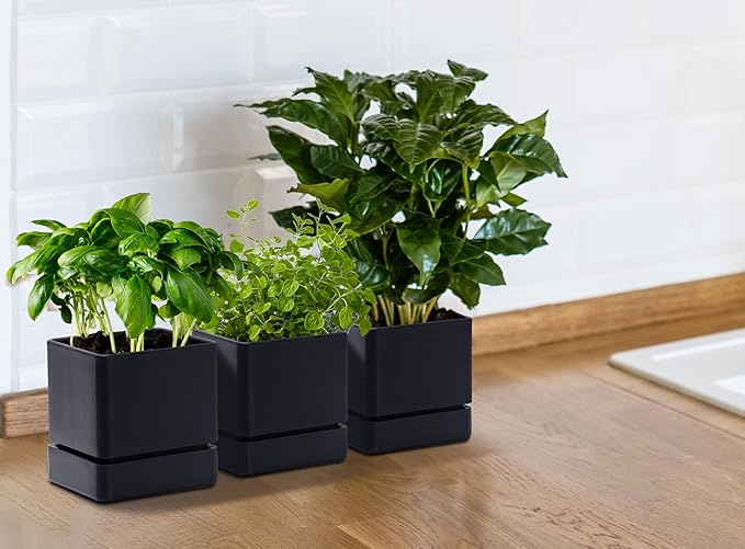 4 Inch Herb Planter Pot, Plastic Planter with Drainage Holes and Saucer, Modern Decorative Gardening Pot for Indoor Plants, Flowers, Herbs, Succulents, Black, Set of 3, 76-Y-B-3 - Bloomnest