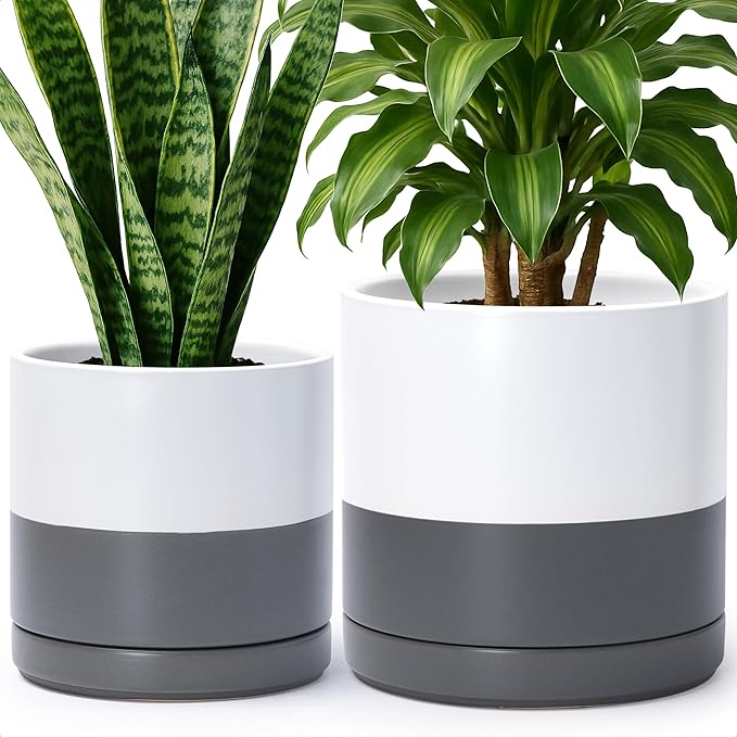 D'vine Dev 8.2 Inch & 10 Inch Ceramic Planter Pot for Plants with Drainage Hole and Saucer, Large Plant Pots Set, White/Speckled Grey, 94-G-L-6 - Bloomnest
