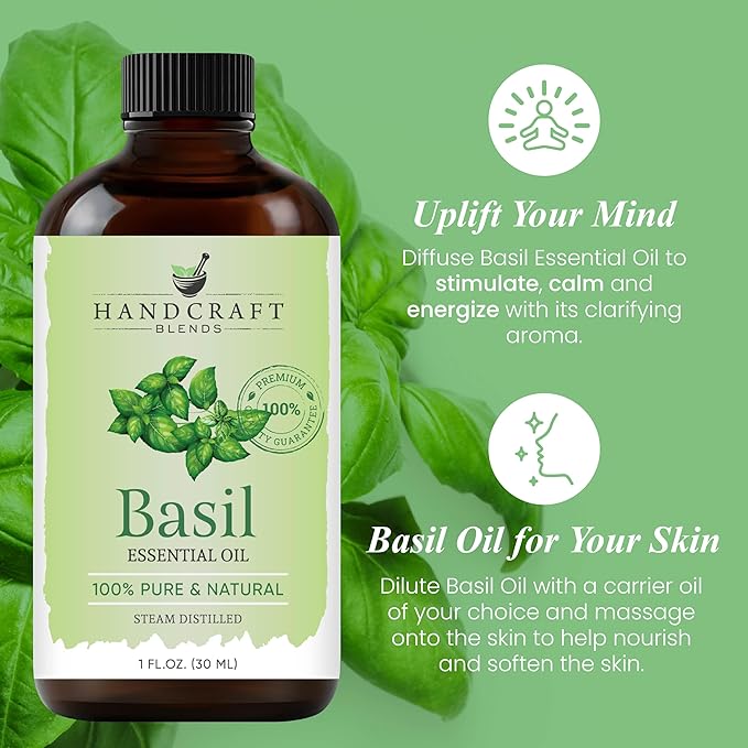 Handcraft Blends Basil Essential Oil – 1 Fl Oz – 100% Pure and Natural – Premium Grade Essential Oil for Diffuser and Aromatherapy, Skin, Massage, Candle and Soap Making Fragrance - Bloomnest