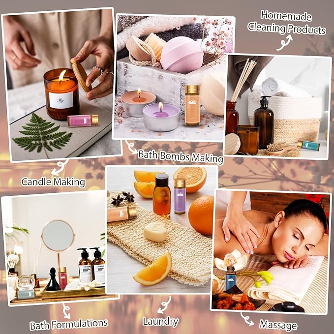 Fragrance Essential Oils Set - 14pcs, Aromatherapy Oils for Skin, Diffusers, Home Care, Humidifier Laundry, Candle Making - Tea Tree, Sandalwood, Lavender, Vanilla, Eucalyptus and More (5mL) - Bloomnest