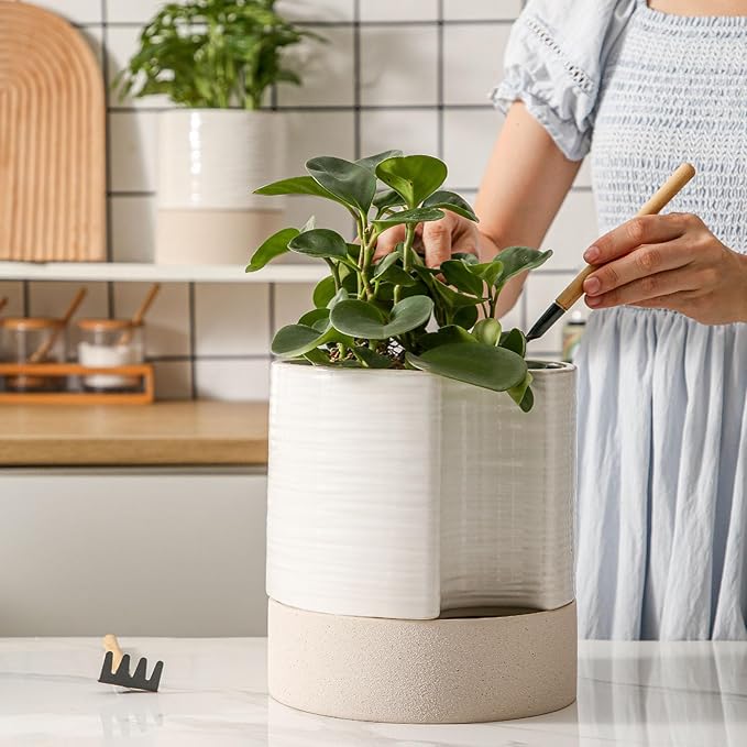 Nihow Self Watering Plant Pot: 8 Inch Ceramic Planter with Drainage Hole & Water Storage Plus for Indoor & Outdoor Plants - Cylinder Round Flower Pot for Succulent/Herbs/Violets - Cream White & Brown - Bloomnest