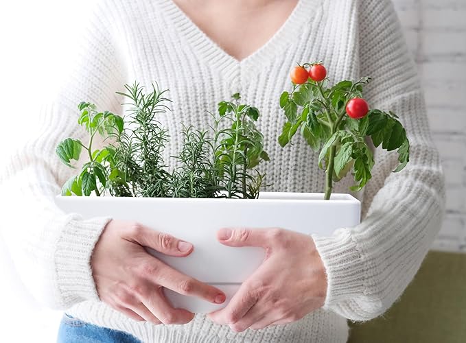 D'vine Dev 12 Inch Window Box Planter, Rectangle Plastic Herb Planter with Drainage Holes and Saucer, Indoor Succulent Cactus Vegetable Pot for Windowsill, Garden Balcony, White, Set of 1, 76-X-A-1 - Bloomnest