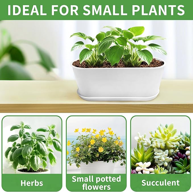 5 Set Window Herb Planter Box Rectangular,8.5x3.5 Inch White Plastic Planters with Multiple Drainage Holes and Trays,Indoor Succulent Cactus Mint Flower Pot for Windowsill,Garden Balcony - Bloomnest