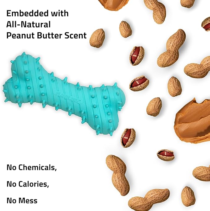 Playology Dog Toys | Puppy Toy Teething Bone Designed for Young & Active Dogs | Jumbo Peanut Butter Scented Toy Made from Non Toxic Materials - Bloomnest