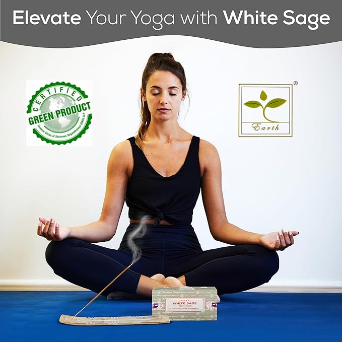 Satya Nag Champa White Sage Incense Sticks, SatyaBng (Bangalore) Insenses 15gmx12 Pack with Raajsee Insence Holder Bundle, Nag Champa Natural Incense - Bloomnest