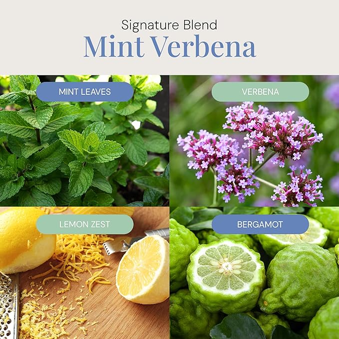 Mint Verbena Aroma Oil, Essential Oils Blend for Diffusers & Scent Machines, Citrus Charm & Minty Undertones, Aromatherapy, Cold Air Diffuser Compatible, 300 mL - Bloomnest