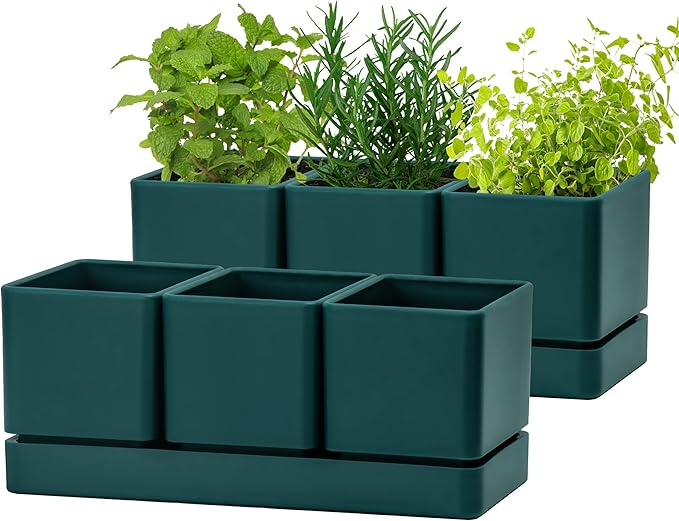 D'vine Dev Herb Garden Planter Set, Plastic Plant Pots with Drainage and Saucer, Indoor Succulent Cactus Vegetable Pot for Windowsill, Garden Balcony, Green, Set of 2, 76-V-C-2 - Bloomnest