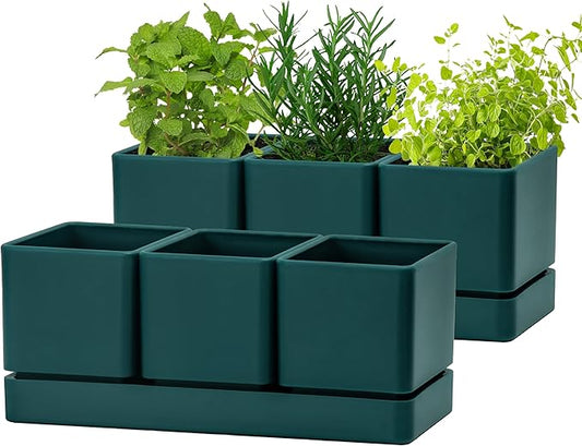 D'vine Dev Herb Garden Planter Set, Plastic Plant Pots with Drainage and Saucer, Indoor Succulent Cactus Vegetable Pot for Windowsill, Garden Balcony, Green, Set of 2, 76-V-C-2 - Bloomnest
