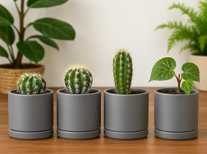 D'vine Dev Set of 4 Small Ceramic Plant Pots, 3.5 Inch Succulent Planter Pot for Plants with Drainage Hole and Saucer, Grey, 94-X-A-3 - Bloomnest