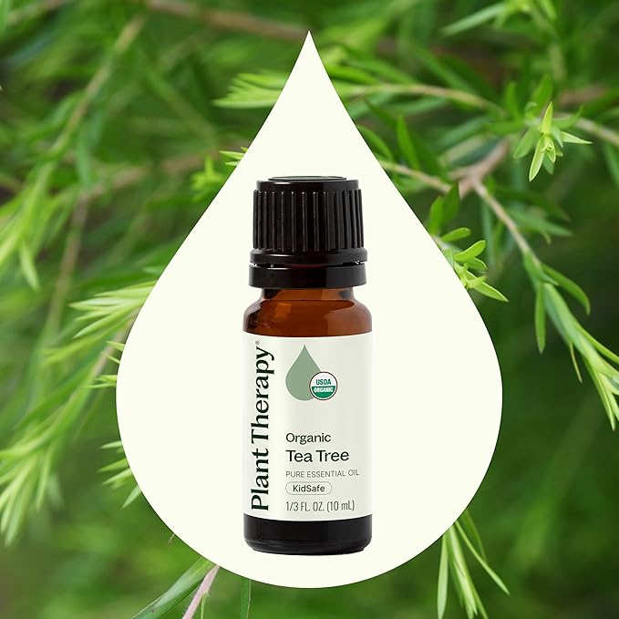 Plant Therapy Organic Tea Tree Oil (Melaleuca) 100% Pure, USDA Certified Organic, Undiluted, Natural Aromatherapy for Skin, Hair, and Toenails, Therapeutic Grade 10 mL (1/3 oz) - Bloomnest
