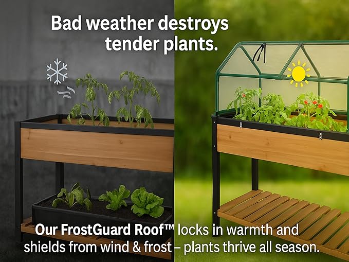 GOJ Raised Garden Bed Wood 48x24x32 inch with Greenhouse & Lockable Wheels - Elevated Wood Planter Box for Outdoors Vegetable Flower Bed Herb Planter - 400 lbs Capacity - Bloomnest
