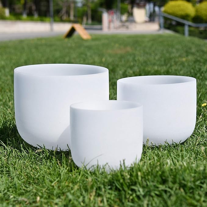 RYAN DVAN 8-12 Inch Set of 3 pcs Crystal Singing Bowl with Sound Bowl Case and Suede Striker O-Ring For Promotes Peace Chakra Healing and Mindfulness (8-12 inch, 3pcs White Singing Bowls) - Bloomnest