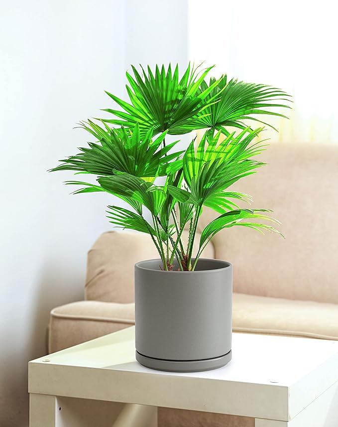 Set of 2 Plants Pots, 8 Inch Ceramic Planter Pot for Plants with Drainage Hole and Saucer, Speckled Grey, 94-V-D-3 - Bloomnest