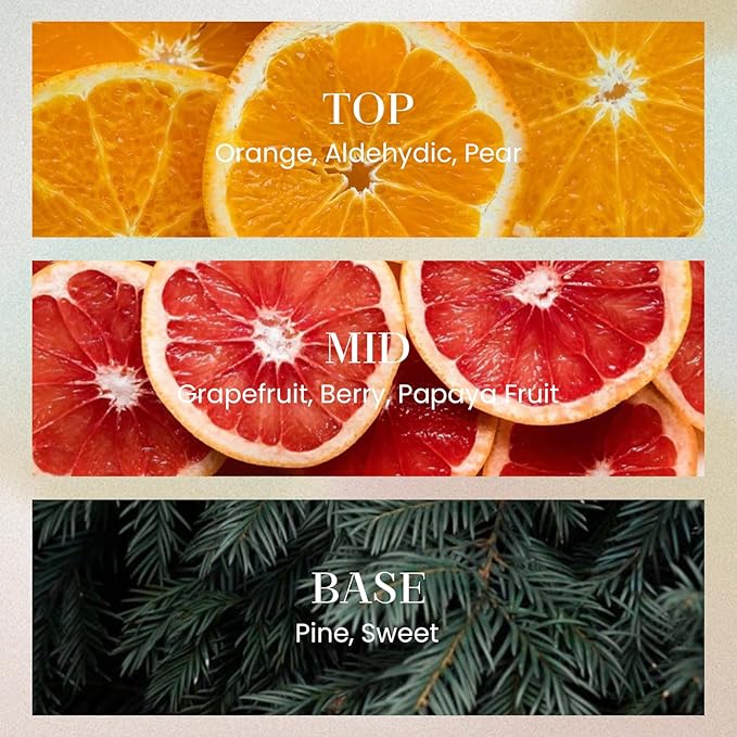 M&SENSE 6.3 oz Large Reed Diffuser Set | Orange Goji Scent Oil Diffuser with Sticks | Hotel Collection Non-Toxic Essential Oil |for Bedroom Bathroom Living Room - Bloomnest