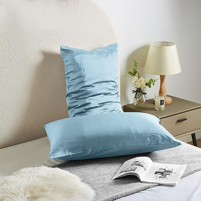 Silk Pillowcase for Hair and Skin Mulberry Silk Pillowcase Soft Breathable Smooth Both Sided Natural Silk Pillowcase with Zipper Beauty Sleep Silk Pillow Case 1 Pack for Gift(Standard,Baby Blue) - Bloomnest