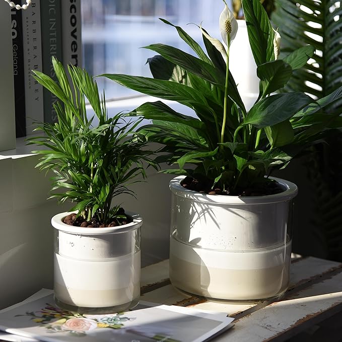 Phoenix Vine 6 Inch 4 Inch Self Watering Planter Pots, Design White Terracotta Pots for Plants, Indoor Cylinder Terra Cotta Pots with Glass Vase Set, 51-B-G-46 - Bloomnest