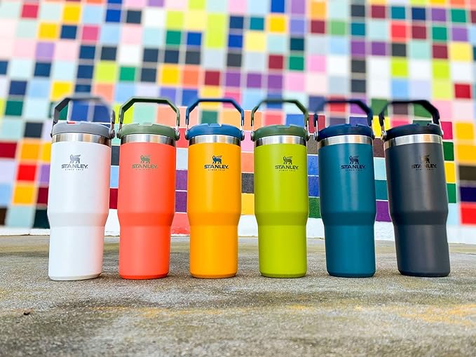 Stanley IceFlow Flip Straw Tumbler with Handle 30 oz | Twist On Lid and Flip Up Straw | Leak Resistant Water Bottle | Insulated Stainless Steel |BPA-Free | Polar - Bloomnest