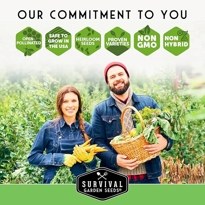 Hydroponic & Indoor Garden Seed Kit – 20 Compact Heirloom Vegetable & Herb Varieties | Apartment, Small-Space, Patio & Vertical Tower Growing | Family Garden Gift – Survival Garden Seeds - Bloomnest