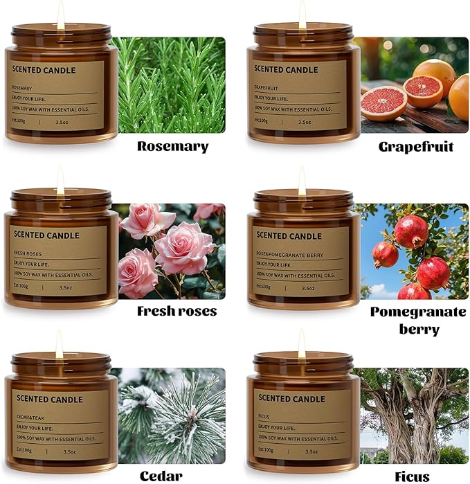 6 Pack Scented Candles Gifts for Women,3.5 Oz Amber Candles Set, 150 Hours Long Burning Soy Wax Candles Jar Aromatherapy Candles for Stress Relief, Birthdays, Weddings, Christmas Gifts, Yoga, Bath - Bloomnest