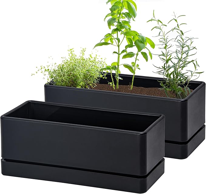 D'vine Dev 12 Inch Window Box Planter, Rectangle Plastic Herb Planter with Drainage Holes and Saucer, Indoor Succulent Cactus Vegetable Pot for Windowsill, Garden Balcony, Black, Set of 2, 76-X-B-2 - Bloomnest