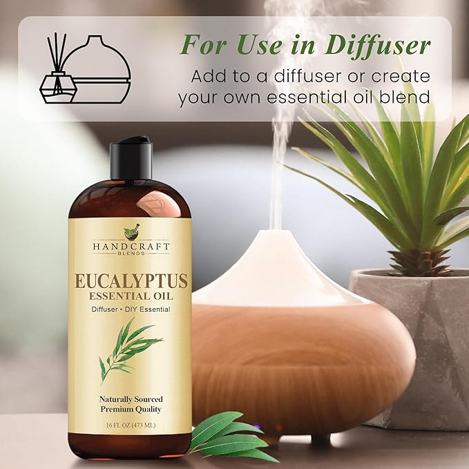 Handcraft Blends Eucalyptus Essential Oil - Huge 16 Fl Oz - for Candle Making, Soap Making, Diffusers, and Aromatherapy