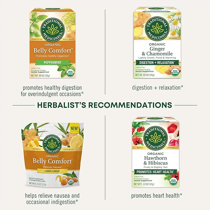 Traditional Medicinals Tea, Organic Ginger Aid, Promotes Healthy Digestion, 16 Tea Bags - Bloomnest