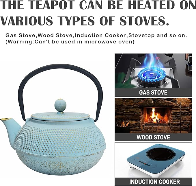 30.4oz Small Cast Iron Teapot, Tea Kettle for Stovetop Safe Coated with Enameled Interior, Japanese Tetsubin, Tea Pot with Stainless Steel Infuser for Loose Tea(900ml) - Bloomnest