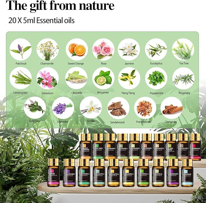 MAYJAM Tea Tree 20 Pcs Pure Essential Oil Gift Set, for Diffuser, Humidifiers, Skin Care, Massage, Fragrance Oil Scent for DIY Candle and Soap Making, Gift for Friend (5ML) - Bloomnest