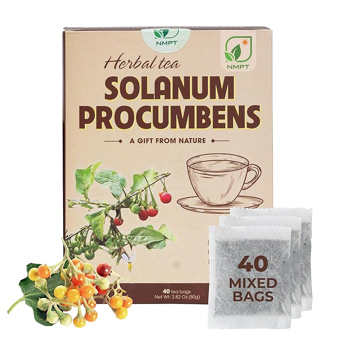 NMPT 100% Solanum Procumbens Leaf Tea, Hand Pick, Cà Gai Leo Organic Herbal Tea, 40 Count, Freeze Drying, Gluten Free, Dairy Free, No Sugar Added, Energy Boost & Health Support, 0.07 Oz Each - Bloomnest