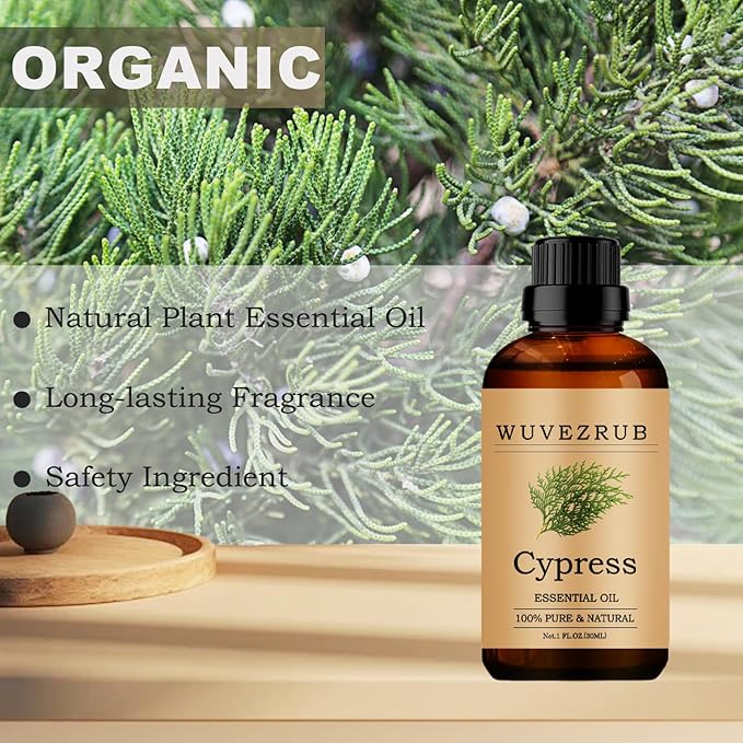 Cypress Essential Oils, 30ML Pure and Natural Essential Oil for Aromatherapy Diffuser - Cypress / 1 Fl Oz - Bloomnest