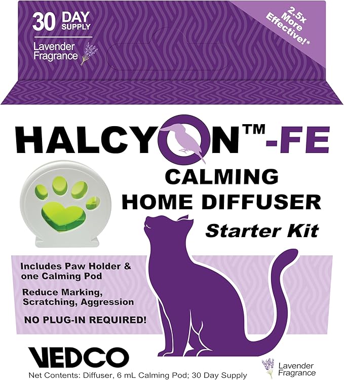 Halcyon FE Diffuser Starter Kit - Bloomnest