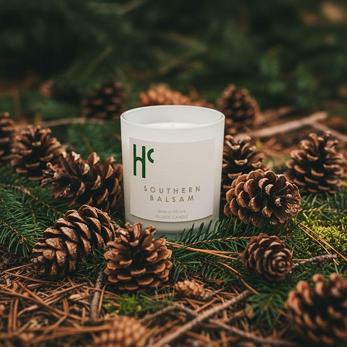Southern Balsam Single Wick Soy Candles, Luxury Scented Candles for Home - Up to 60 Hour Burn Time, Cruelty-Free Soy Wax Blend - Cedarwood Fragrance, Notes of Eucalyptus & Amber (9 oz) - Bloomnest
