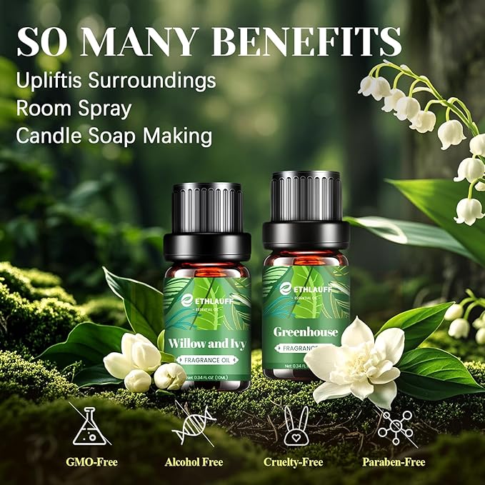 Fragrance Oils Set, Essential Oils for Diffuser for Home, Candle Sopa Making - Enchanted Forest, Willow and Ivy, Clover and Aloe, Fresh Bamboo, Scented Oil Gift Set - Bloomnest
