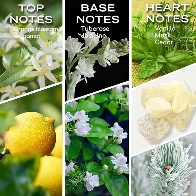 My Way Essential Oil, Diffuser Oil, Home Luxury & Scents for Diffuser, Christmas Gift 30ML Pure Diffuser Oil with Lemon, Tuberose and Vanilla for Aromatherapy - Bloomnest