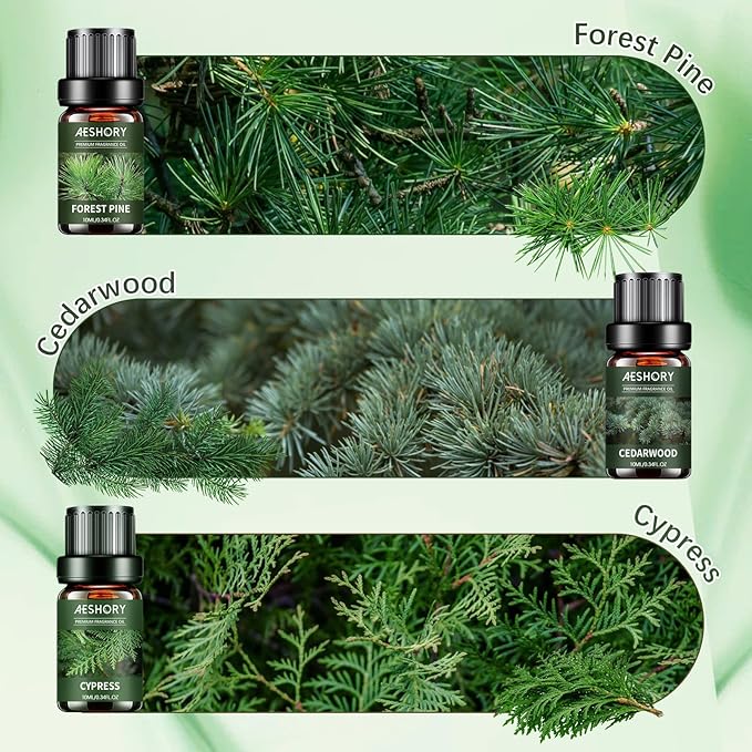 Woody Essential Oils Set - 6x10ML Woody Scents Fragrance Oil for Candle Making, Diffuser - Teakwood, Sandalwood, Cedarwood, Cyperss, Forest Pine, Frankincense Aromatherapy Oils - Bloomnest