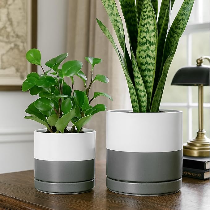 D'vine Dev 6.5 Inch & 8.2 Inch Ceramic Planter Pots for Plants with Drainage Hole and Saucer, Medium Plant Pots Set, White/Speckled Grey, 94-G-M-6 - Bloomnest