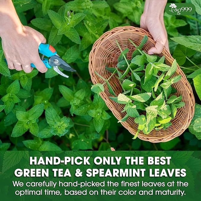 TOG999, Premium Moroccan Mint Green Tea | 30 Tea bags | Traditional Green Tea with Spearmint – Refreshing Flavor, Premium Quality Herbal Blend. Gluten-Free. Vegan - Bloomnest
