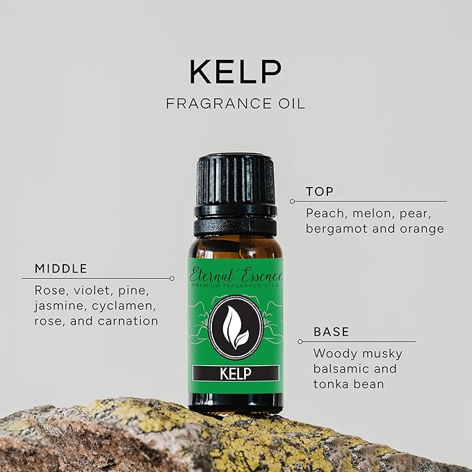 Kelp - Premium Fragrance Oil - 10ml EternalEssenceOils