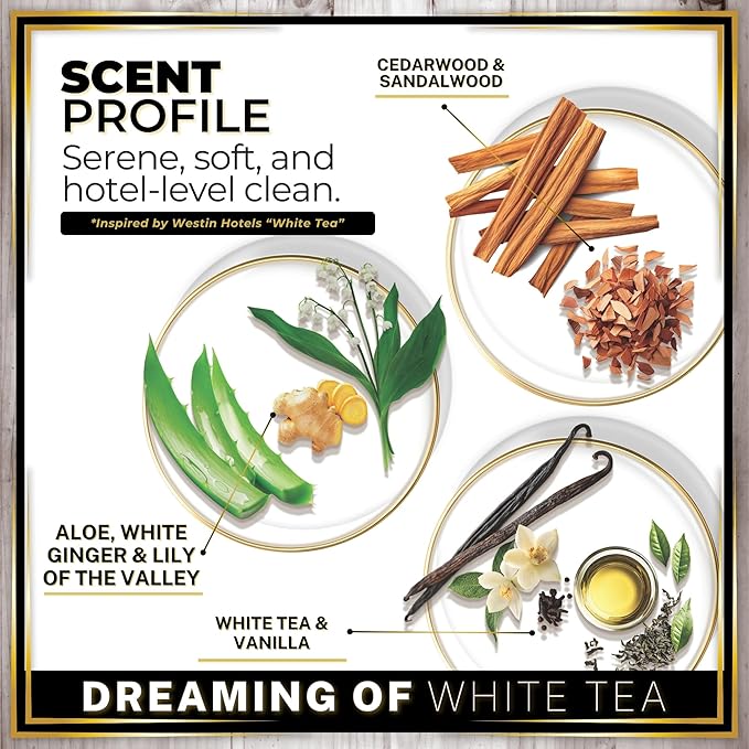 Urban Naturals Car Air Freshener Diffuser Dreaming of White Tea Scent, Hotel Scents Collection, Strong Long Lasting Aroma Made in USA, Hanging Oil Diffuser + Vent Cip Car Accessories (1 Pack) - Bloomnest
