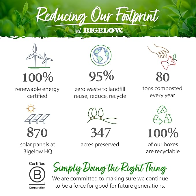 Bigelow Benefits Wellness Tea Collection, Variety Gift Box Sampler, 64 Tea Bags, (Pack of 1 - Bloomnest