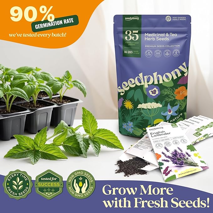 35 Medicinal & Tea Herb Seeds Variety Pack - 16,285+ Non-GMO Heirloom Herbs Seeds for Planting Indoor & Outdoor: Lavender, Rosemary, Echinacea, Mint, Catnip, Basil - Gardening Seed Packets - Bloomnest
