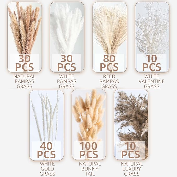 300PCS Natural Dried Pampas Grass Boho Home Decor Bouquet Phragmites Dried Flowers Bouquet for Wedding Floral Arrangements Home Decorations (300PCS) - Bloomnest