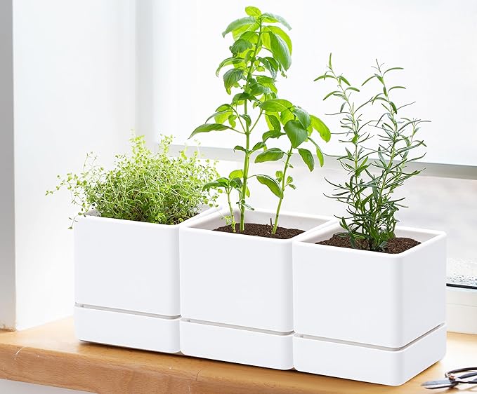 4 Inch Herb Planter Pot, Plastic Planter with Drainage Holes and Saucer, Modern Decorative Gardening Pot for Indoor Plants, Flowers, Herbs, Succulents, White, Set of 3, 76-Y-A-3 - Bloomnest