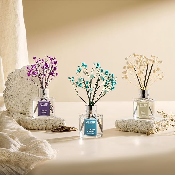 Airkeep Reed Diffuser Set,1.69 fl oz (50 ml) - Ocean Mist&Sea Salt Oil Diffusers with 8 Reed Sticks,Home Fragrance Reed Diffuser for Bathroom Shelf DecorSALT - Bloomnest