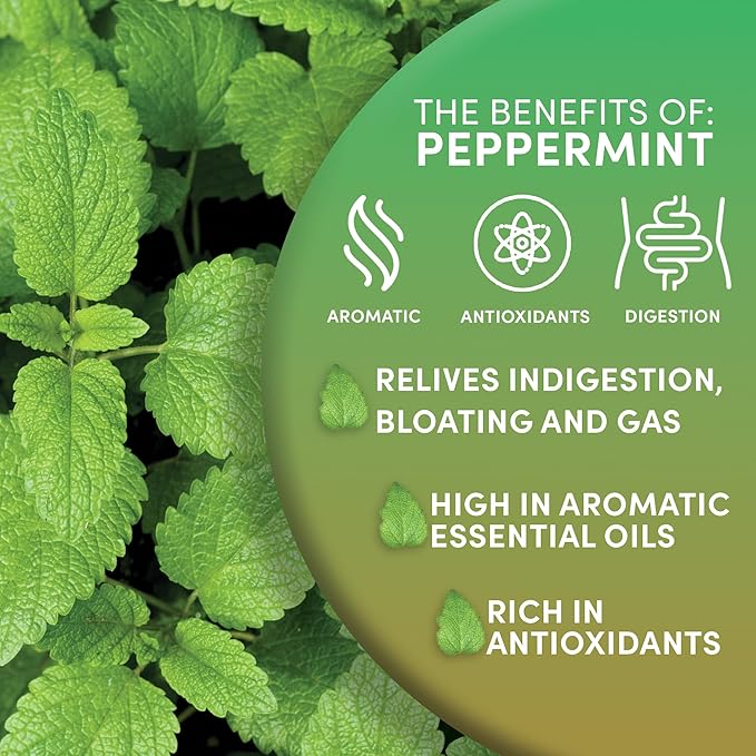 Worldwide Botanicals Organic Peppermint Loose Leaf Tea, 1 lb - Pacific Northwest Organic Cultivation, Highly Aromatic Digestive Tea, Antioxidant, Caffeine Free, 16 ounce - Bloomnest
