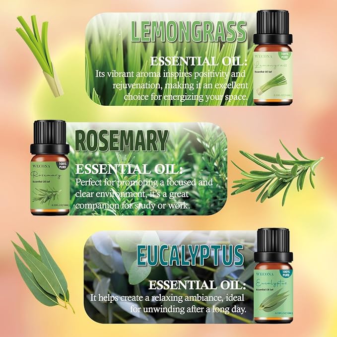 Pure Essential Oil Set - Top 6 Aromatherapy Oils Set, Essential Oils for Diffusers for Home - Peppermint, Lavender, Eucalyptus, Lemongrass, Rosemary, Lemon - 10ml x 6 - Bloomnest