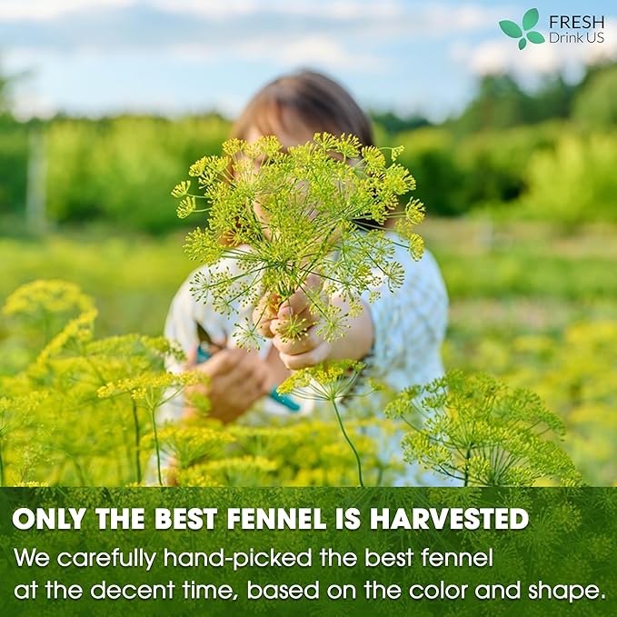 FreshDrinkUS, Premium 75 Fennel Seed Tea Bags – 100% Natural & Pure, Handmade Herbal Tea, Eco-Friendly, Fresh Aroma, Made with Natural Material Tea Bags. No Sugar, No Caffeine, No Gluten, Vegan. - Bloomnest