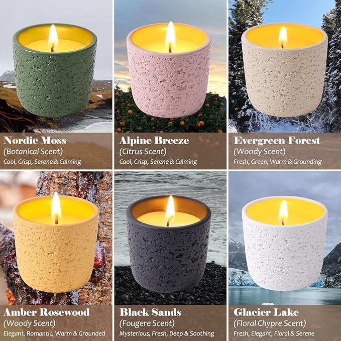 Viyffo Scented Candle Set of 6, Natural Soy Wax with Essential Oils, Long Lasting Aromatherapy Candles in Small Ceramic Jars, Perfect for Home, Relaxation, Meditation, Bath & Holiday Gifts - Bloomnest