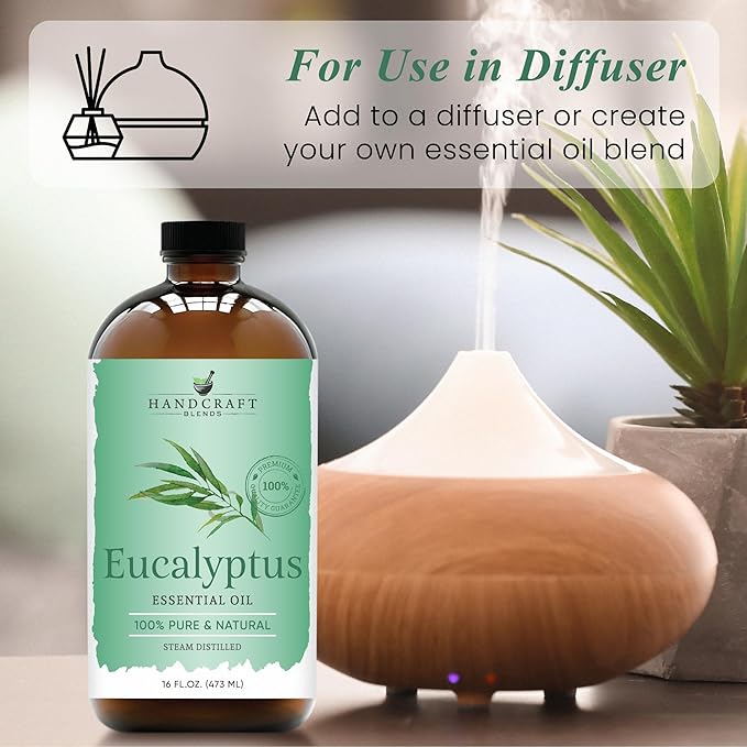 Handcraft Blends Eucalyptus Essential Oil in Glass Bottle – Huge 16 Fl Oz – 100% Pure and Natural – Premium Grade Oil for Diffuser and Aromatherapy, Skin, Massage, Candle and Soap Making Fragrance - Bloomnest